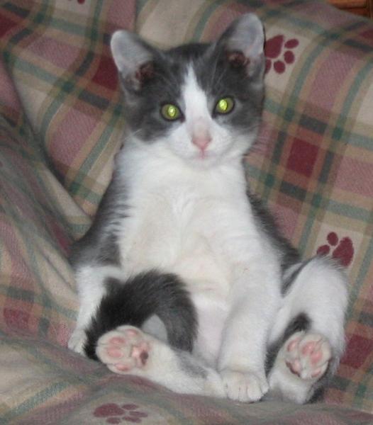 Does sitting like this make me look like I have a spare tire?