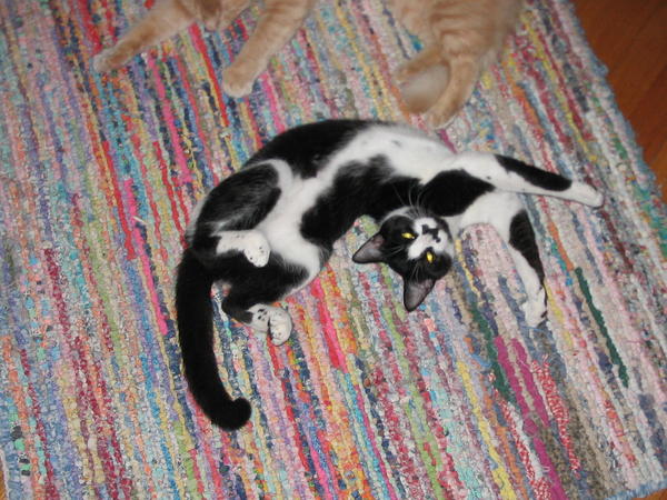 A typical Fritz lounging position.