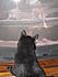 Azriel watching the pet sitter video also.