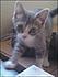 He's much bigger now but he was just a wee thing. Even smaller than in this pic...
