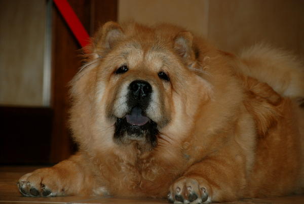 My pretty girl <3