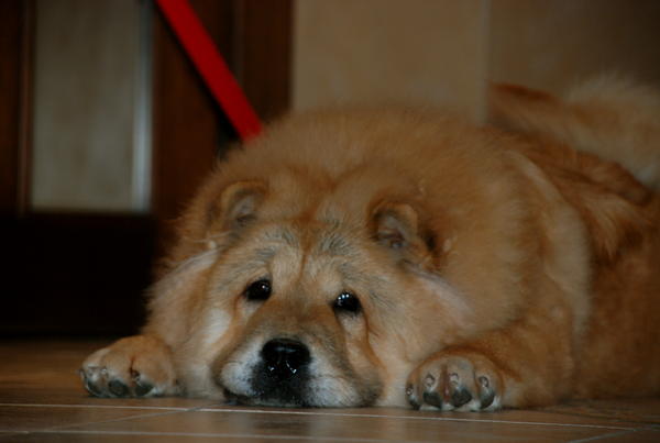 Looking all innocent