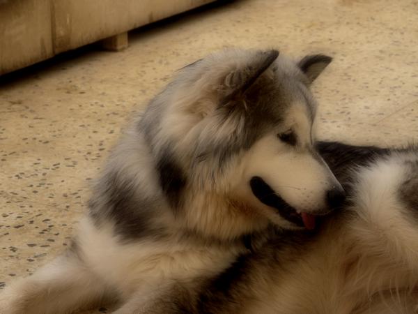 <3