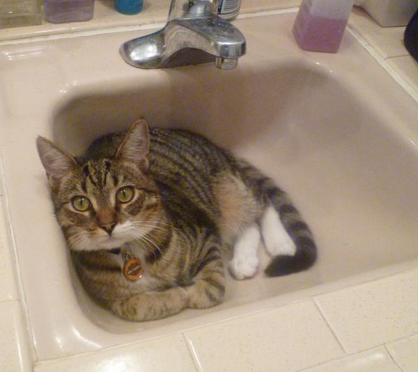 I like the sink!