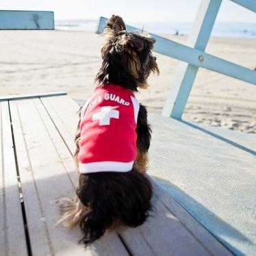 Playing Life Guard!