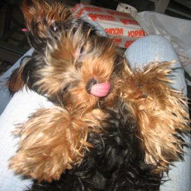 Good Strech & Belly Rub!
