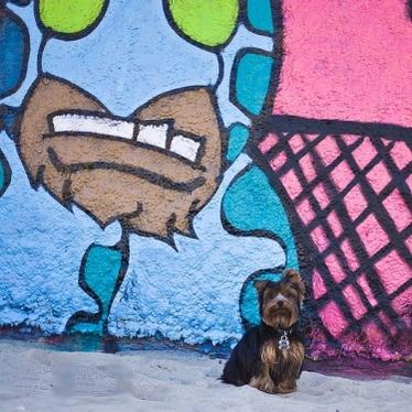 Big Blue Graffitii Monster