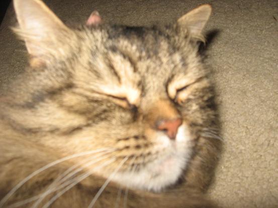 Duch's face
