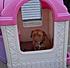 welcome to the dog house. may I take your order?