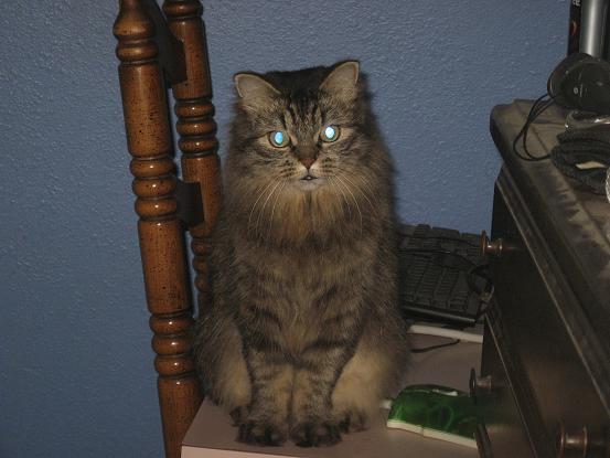 Princess