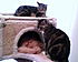 My wee ones