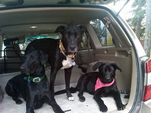 The crew!!