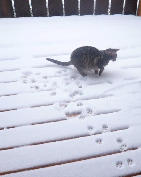 2 Kiri snow