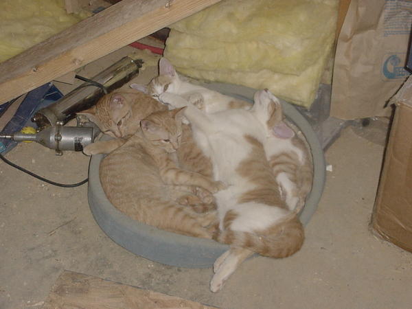 Getting a little crowded.