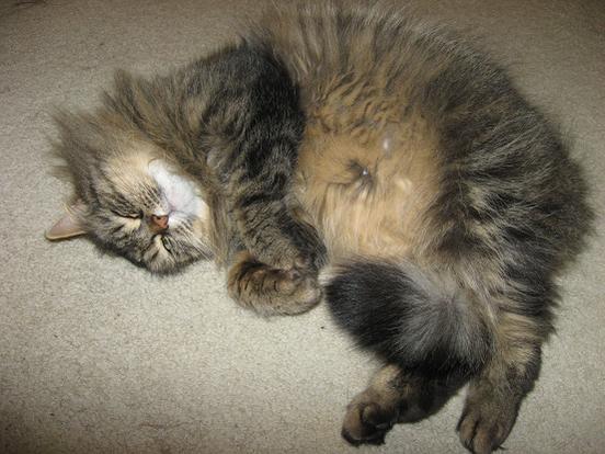 She's so cute, isn't she!