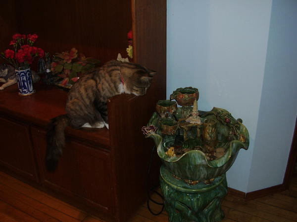 Keeping watch!