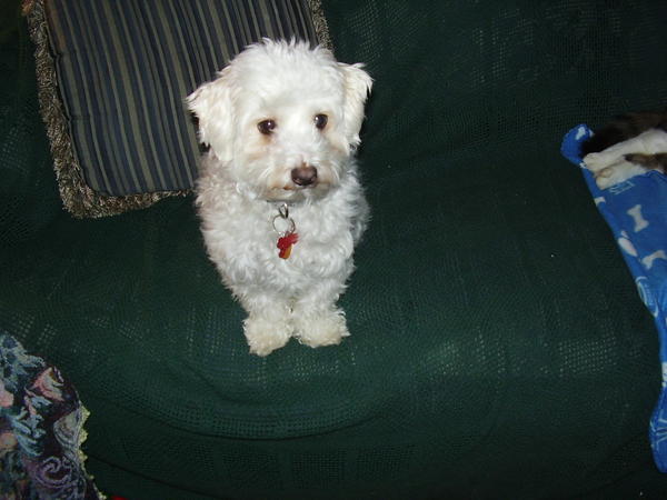 This is my seat!