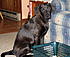 Pics of Zoe when she visited on 1/22/11.