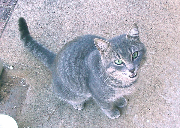 Tab is talking to me in 2006.