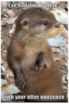 Otter Nonsense