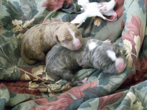 on the day she was born (December 29, 2010)