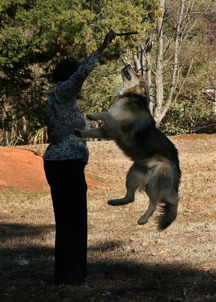 I'm going to get that stick