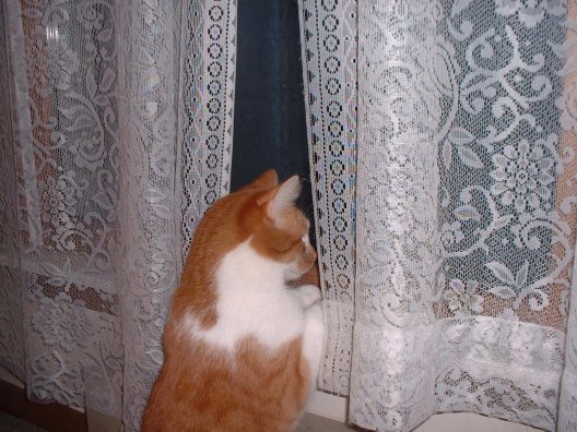 sm praying2