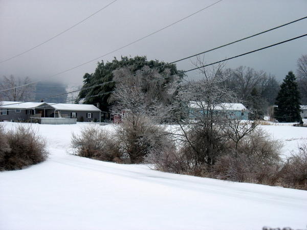 winter 2 2 11