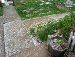 Snow Fall in Lahore 3