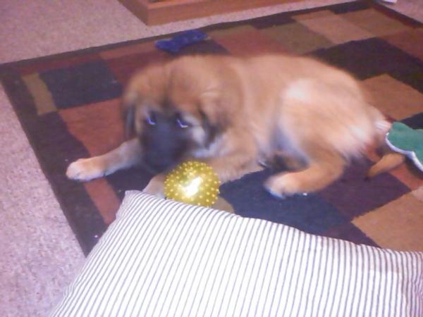 the ball was popped in 5 minutes