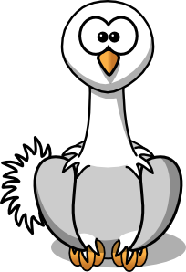 ostrichsmall