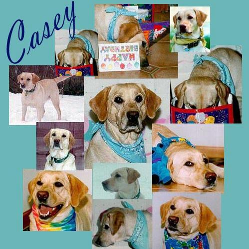 caseycollageA