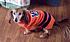 War Eagle Sherwin