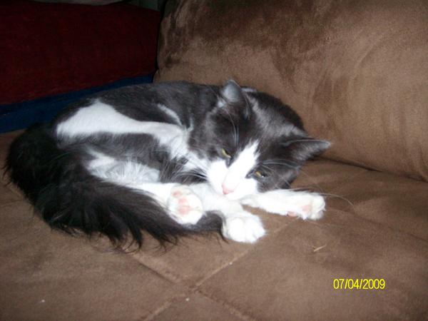 Bella when she was 1