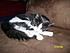 Bella when she was 1