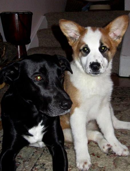 big ears!
