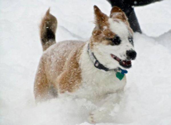 I LOVE SNOW!