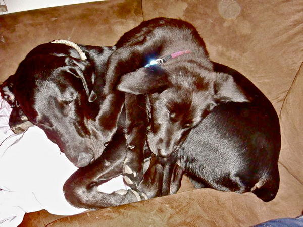 snuggle time!