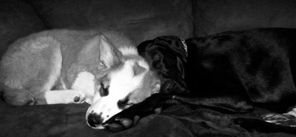 sleepy