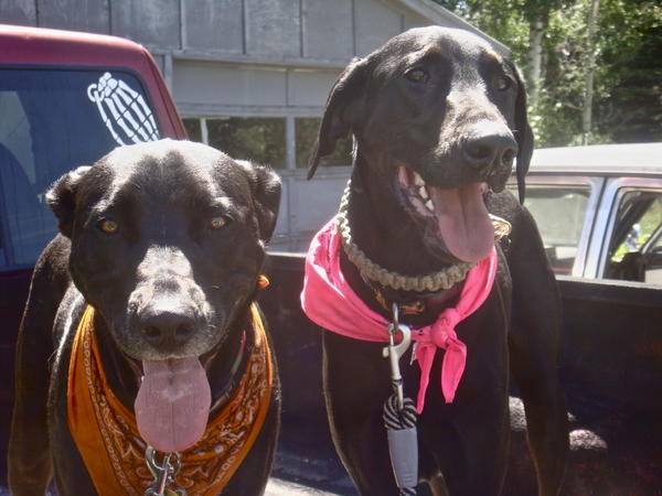 Happy boys