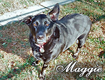 Maggie