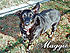 Maggie
