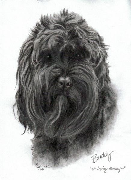 Buddy Sketch