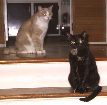CB & Serena, years ago