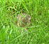 IMG 6095