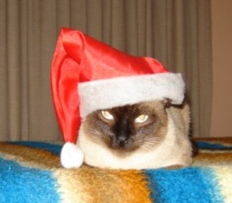 yo yo di natal