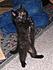 Sabrina 2006 (Small)