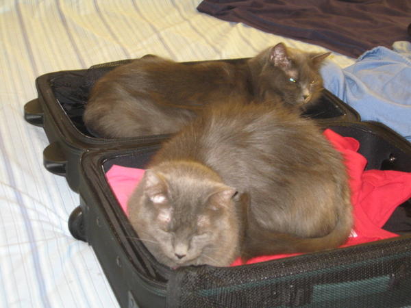 You are not leaving without us!!!