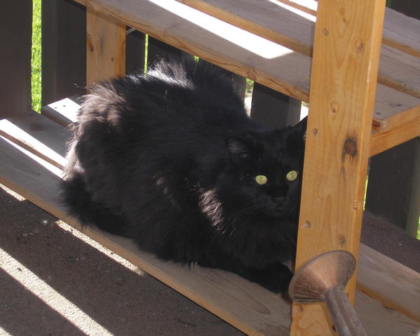 Cole in the sun!