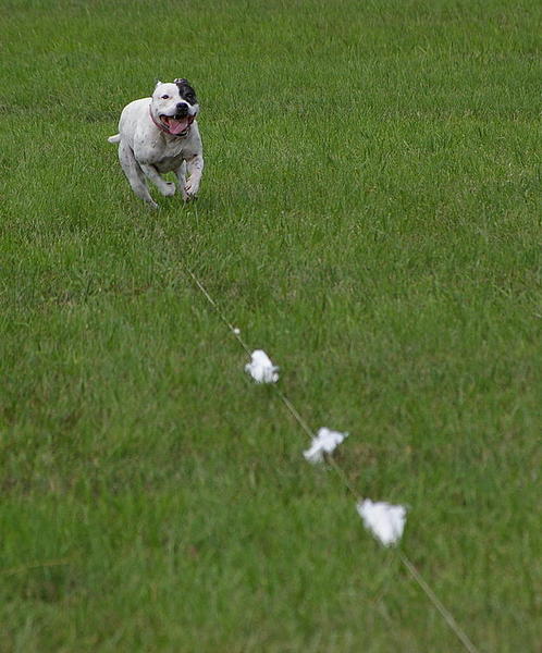 Happy girl!